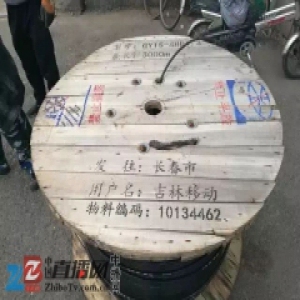 辽源:两男子驾驶面包车 盗窃移动光缆线被刑拘