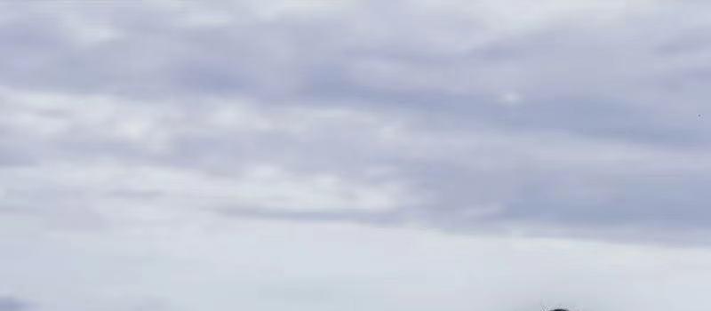 周冬雨刘昊然曝恋情后首同框！相视一笑女方显直接，男方害羞转头(图2)