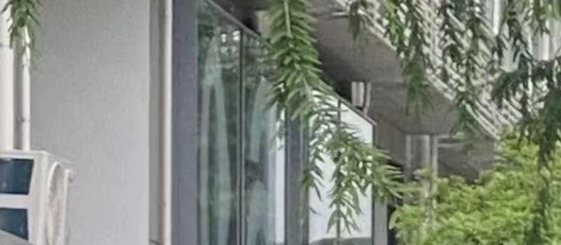 43岁董洁街头被偶遇！手冒青筋腿比胳膊细，弓腰驼背瘦成大头娃娃(图2)