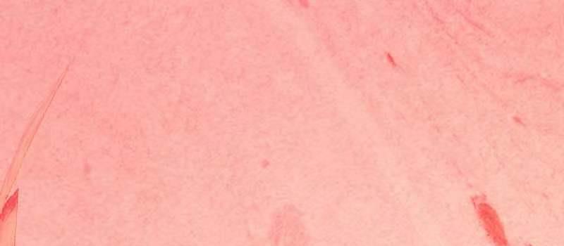 大牌云集！李小冉新剧来袭，秦岚李一桐作配，36集都市剧一次看爽(图1)