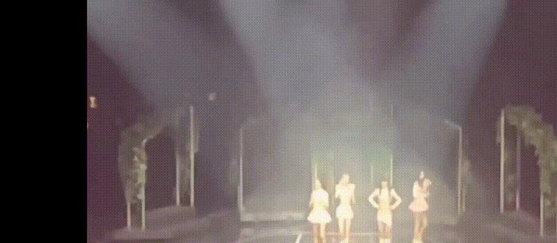 Jennie为演唱会中途离场道歉，却陷入话题争议，台词被批太露骨？(图4)