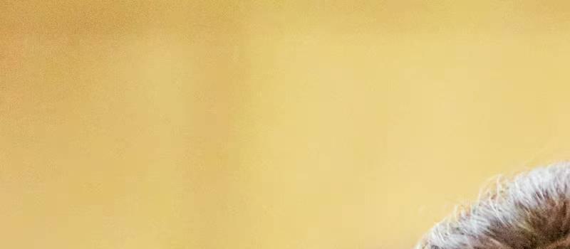 《女子推理社》戚薇升职当总监 田曦薇哭到濒临崩溃(图4)